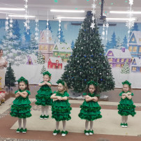 Мы встречаем Новый год! Мы встречаем Новый год!.